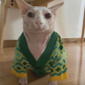 Meet your Posher, Shaneldoodoo